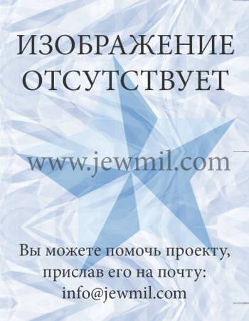 Зельцер Михаил Иосифович