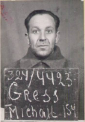 Гресс Михаил Ильич