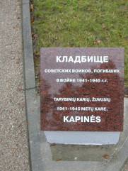 Владимирский Аркадий Наумович