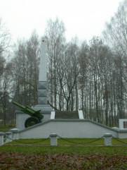 Владимирский Аркадий Наумович