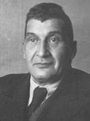 Иофе  Марк Соломонович