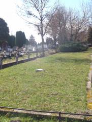 Фурман Григорий Яковлевич