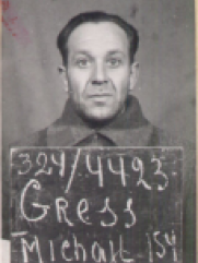 Гресс Михаил Ильич