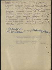 Чапник Елизавета Иосифовна подпольщица партизанка еврейка