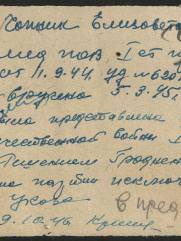 Чапник Елизавета Иосифовна подпольщица партизанка еврейка