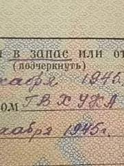 Штыкан Давид Борисович