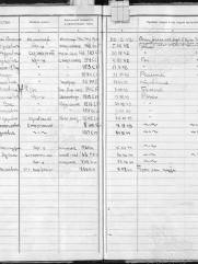 Шапиро Полина Исаевна