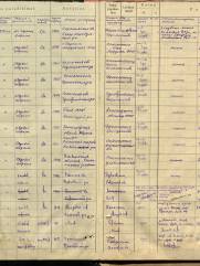 Владимирский Аркадий Наумович