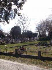 Фурман Григорий Яковлевич