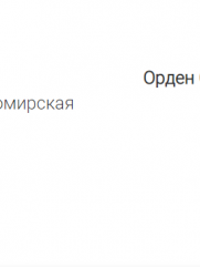 Бирман Яков Исаакович