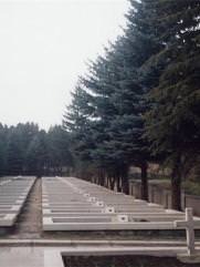 Голубов Владимир Семенович