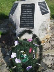 Сервер Наум Моисеевич