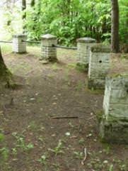 Шальман Лев Исерович