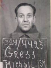 Гресс Михаил Ильич